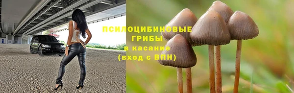каннабис Алзамай