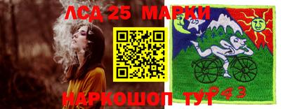 прущие грибы Конаково