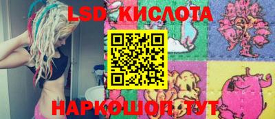 прущие грибы Конаково