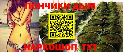 индика Комсомольск-на-Амуре