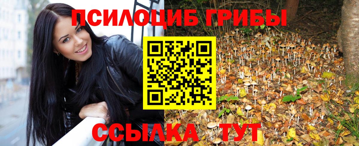 Псилоцибиновые грибы GOLDEN TEACHER Касимов