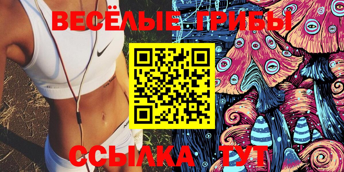 Псилоцибиновые грибы Psilocybine cubensis  Галлюциногенные грибы MAGIC MUSHROOMS  Касимов  Вход с VPN 